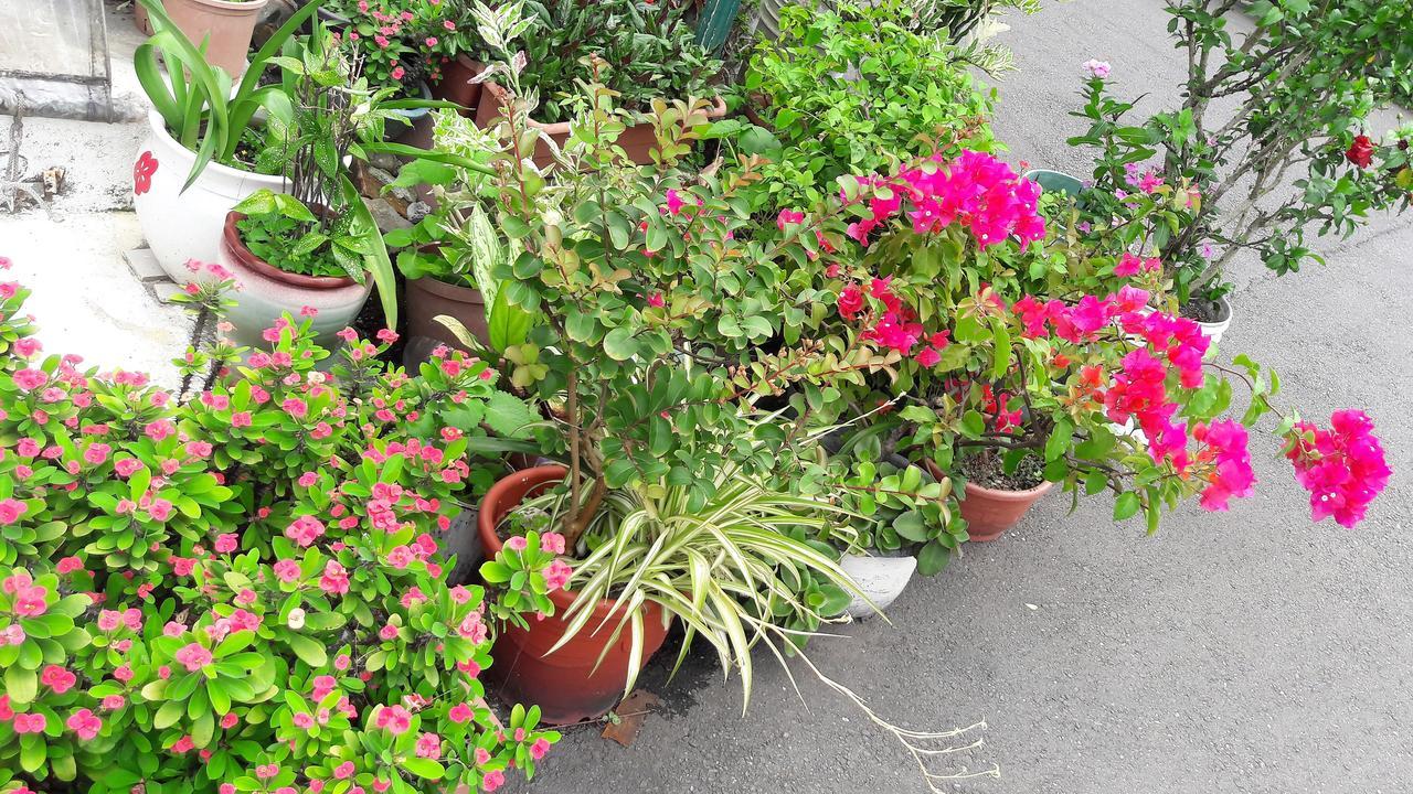 Hai Xia Your Home Fulong Ngoại thất bức ảnh