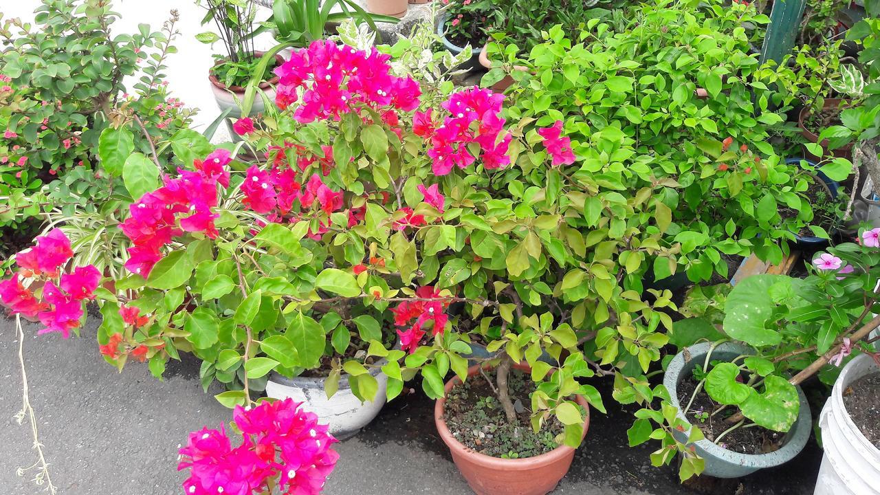 Hai Xia Your Home Fulong Ngoại thất bức ảnh